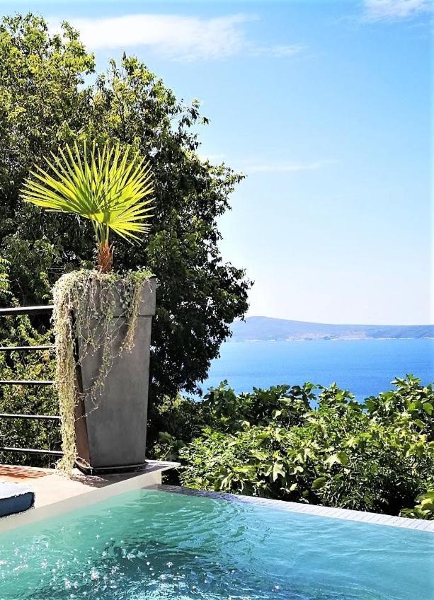 Art Gallery House With A Small Relaxing Pool Crikvenica Exterior photo